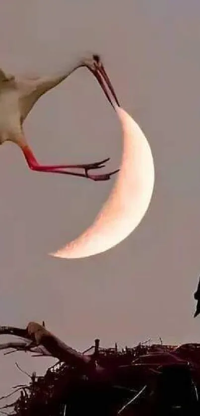 Stork holding a crescent moon in a dusk sky.