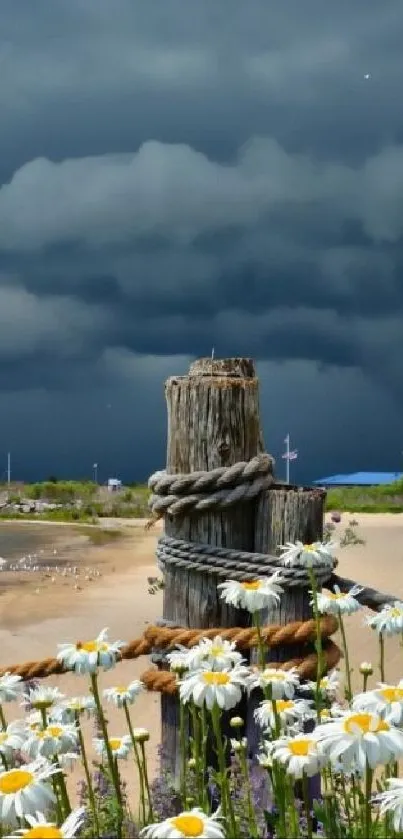 Dramatic beach scene with daisies and stormy sky.