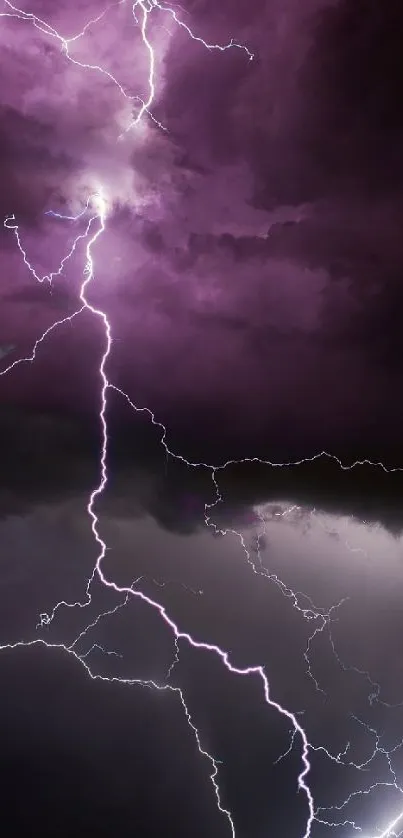 Spectacular lightning during a stormy night, highlighting vivid purple skies.