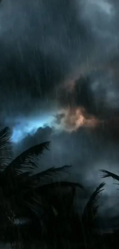 Stormy night sky with palm silhouettes and lightning.