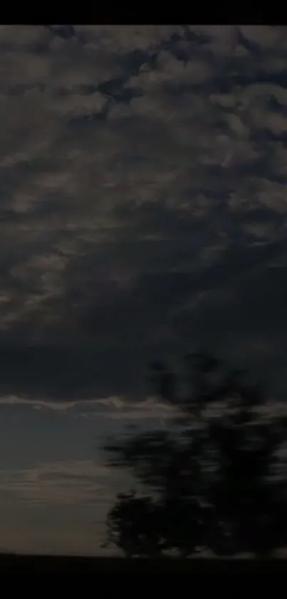 Stormy night sky with dark clouds and silhouette trees.