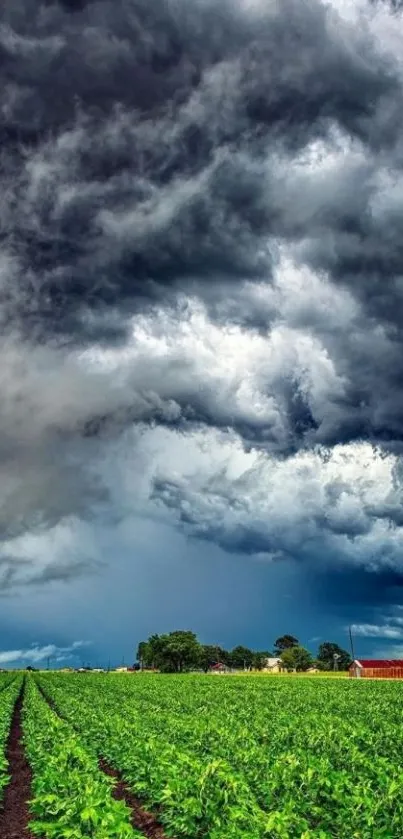 Dramatic storm clouds over lush green fields.