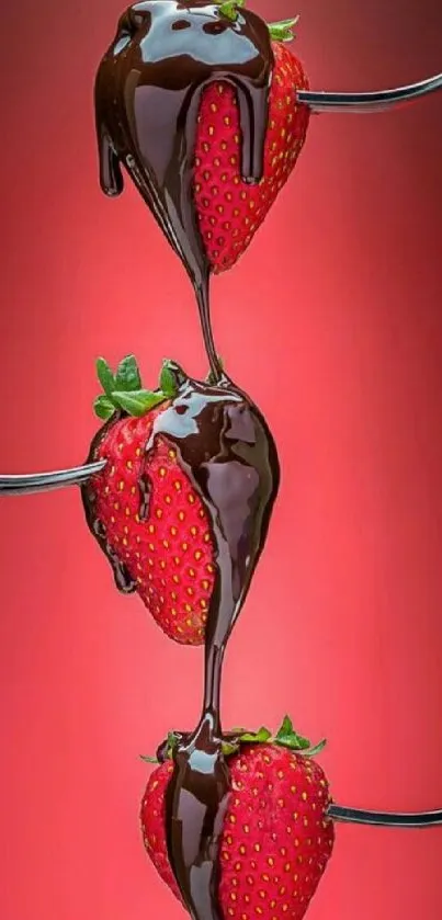 Mobile wallpaper of strawberries drizzled with chocolate on a red background.