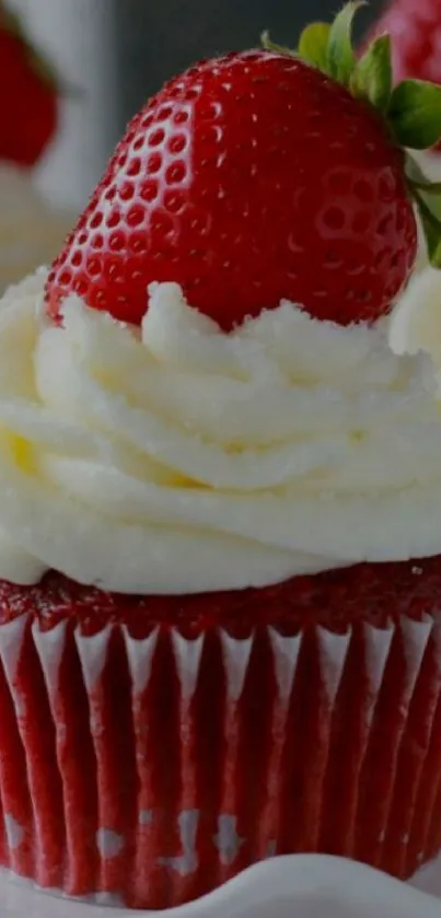 Red velvet cupcake with strawberry topping.