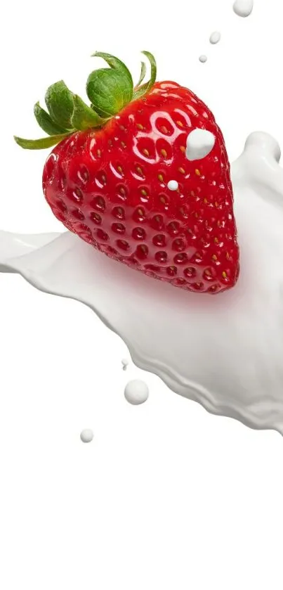 Juicy strawberry splashing in milk on white background.