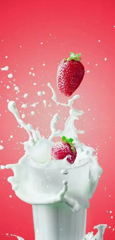 Strawberries splashing into milk with a pinkish red background.