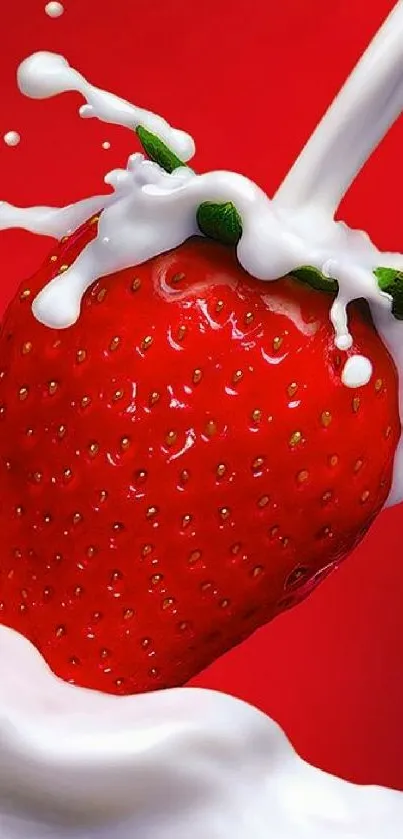 Strawberry with milk splash on red background wallpaper.