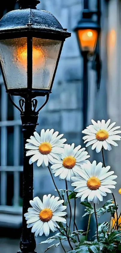 Classic street lamp with daisies blooming around it.