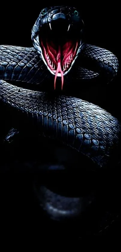 Black snake with open mouth on a dark background.