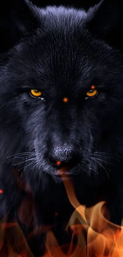 Black wolf with piercing golden eyes on dark background.