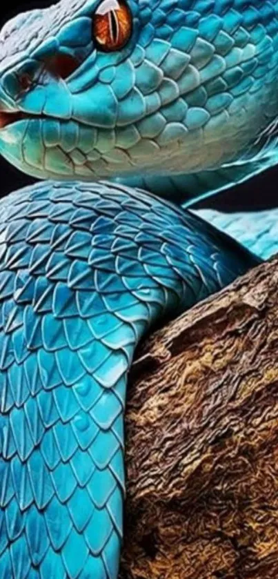 A vibrant blue snake coiled on a log with intricate scales.