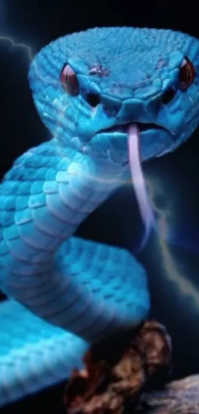 Striking blue snake with lightning, set against a dark backdrop.