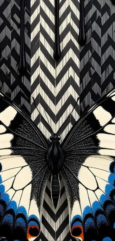 Butterfly with monochrome abstract background design.