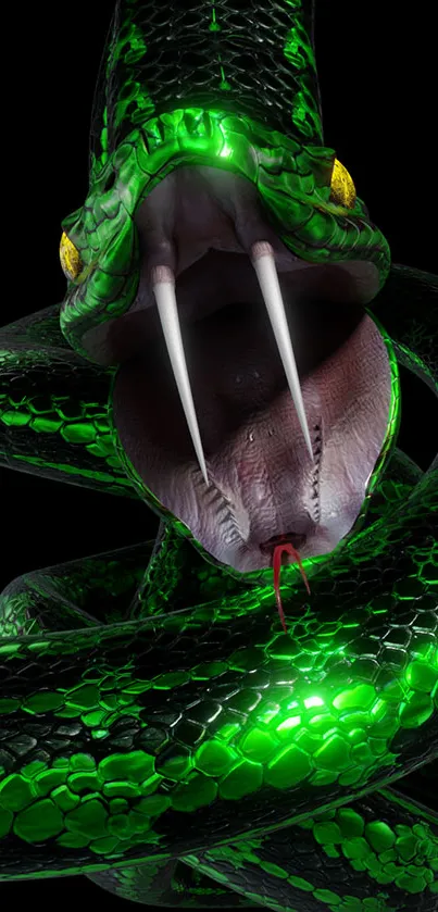 Close-up of a vivid green snake with fangs, against a black background.