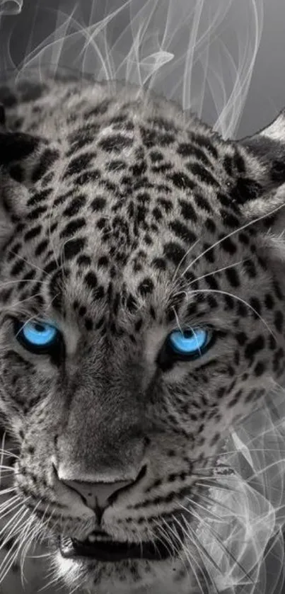 Leopard with icy blue eyes in a smoky grey background wallpaper.