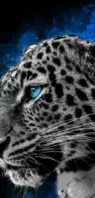 A striking leopard with blue eyes against a dark and smoky background.