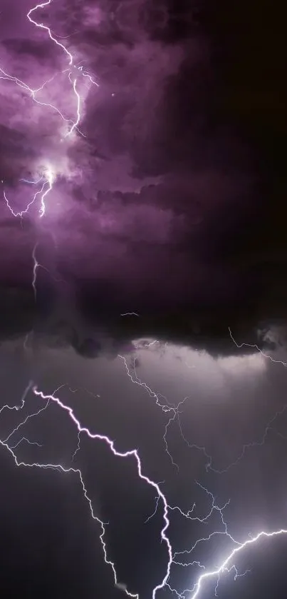 Dynamic lightning against purple sky mobile wallpaper.