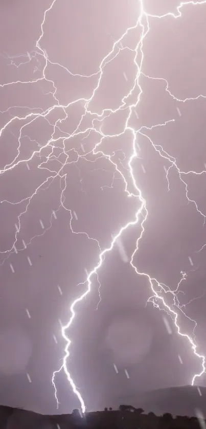 Dynamic lightning strikes against a night sky.