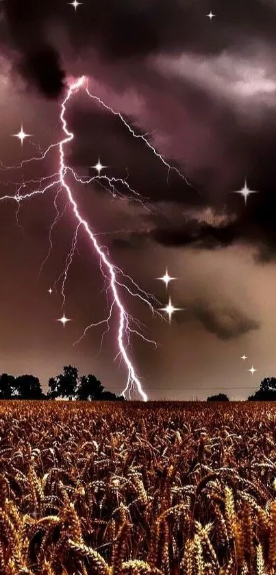 Lightning strikes over wheat field under dark skies.