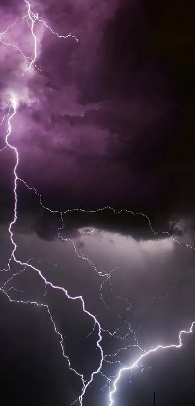 Vivid purple lightning storm over a dark horizon.