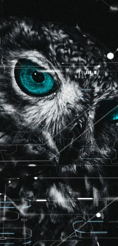 Close-up of owl with turquoise eyes in monochrome wallpaper.