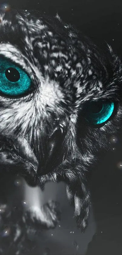 Close-up of an owl with striking blue eyes in a dark setting.