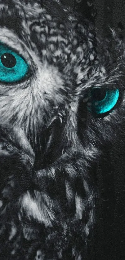 Owl with striking turquoise eyes in monochrome background.