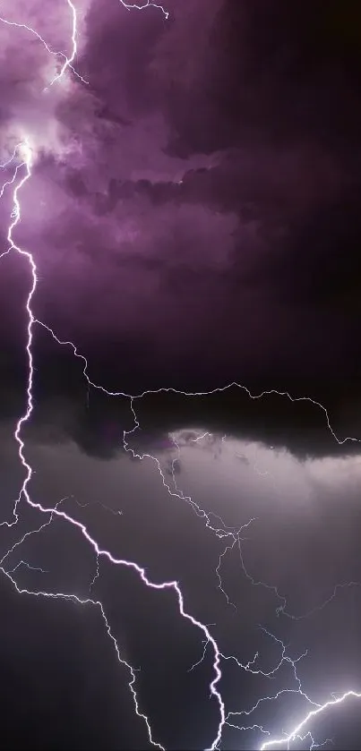 Stunning purple lightning bolt against dark stormy clouds.