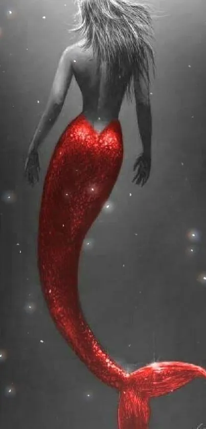 Artwork of a red-tailed mermaid swimming upward in moody lighting.