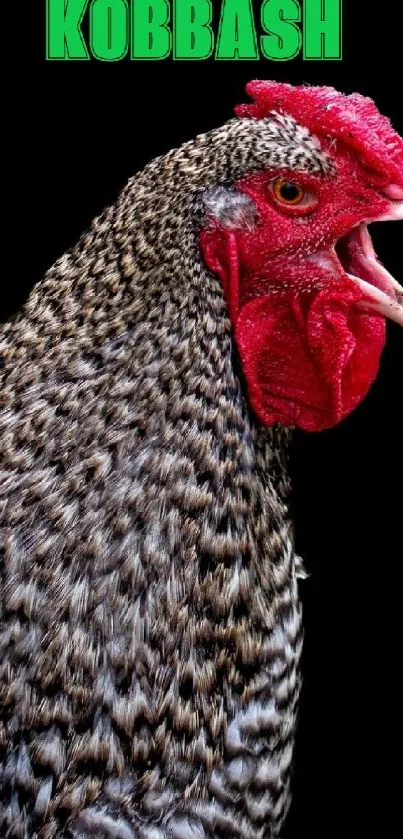 Mobile wallpaper featuring a vibrant rooster on a black background.