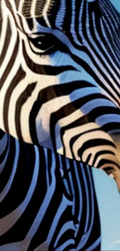 Close-up of a zebra with bold stripes and a light blue sky background.