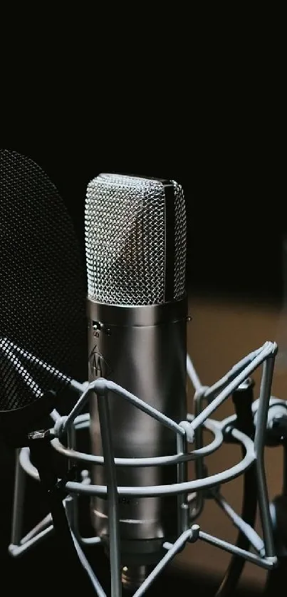 Close-up of a studio microphone with a dark background.