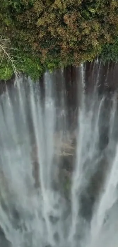 Aerial view of a stunning waterfall amidst lush greenery.