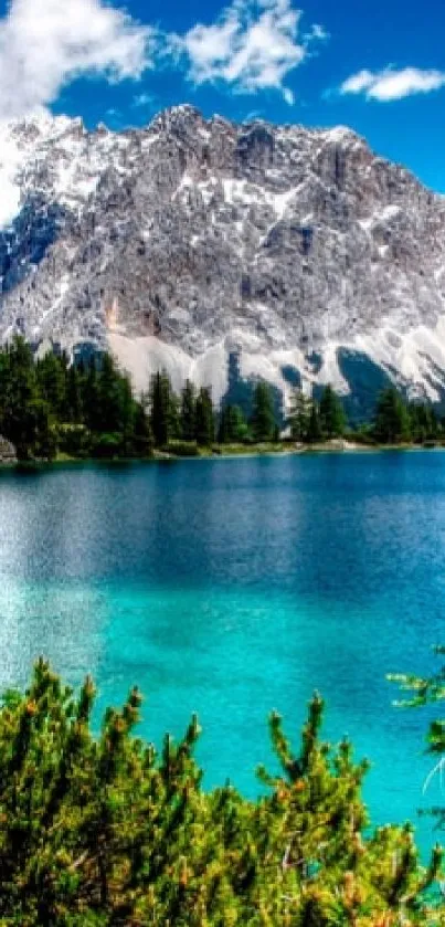 Tranquil alpine lake with lush greenery and mountain background.