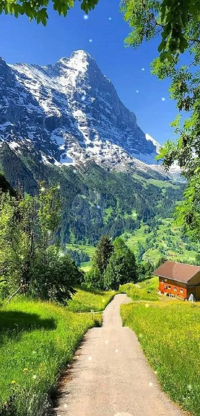 Beautiful Alpine landscape with mountain and green valley.