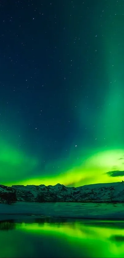 Aurora Borealis lighting up a snow-covered landscape.