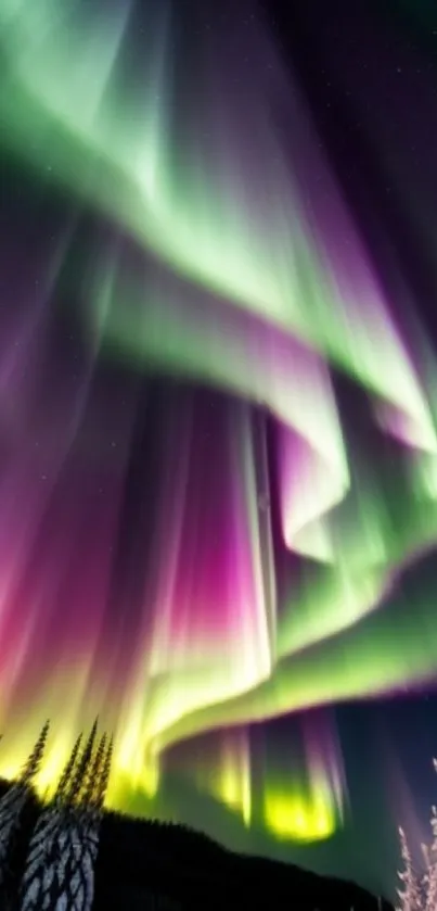 Vibrant Aurora Borealis with green and purple lights in the night sky.