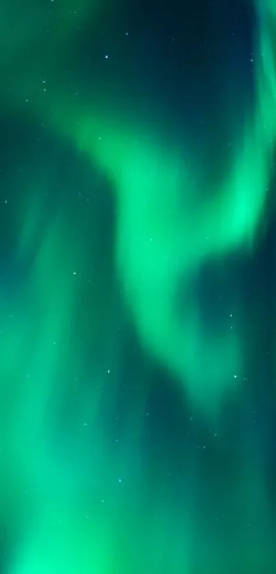 Vibrant aurora borealis in a starry night sky wallpaper.