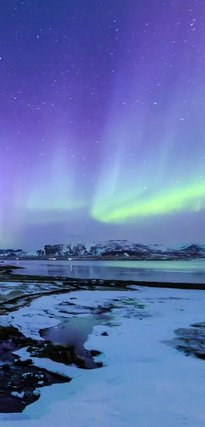 Aurora borealis over snowy landscape with vibrant purple and green hues.