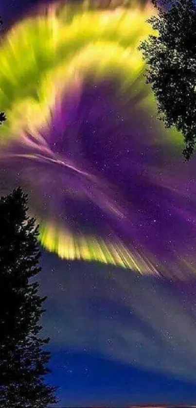 Aurora borealis with vibrant colors fills the night sky surrounded by trees.