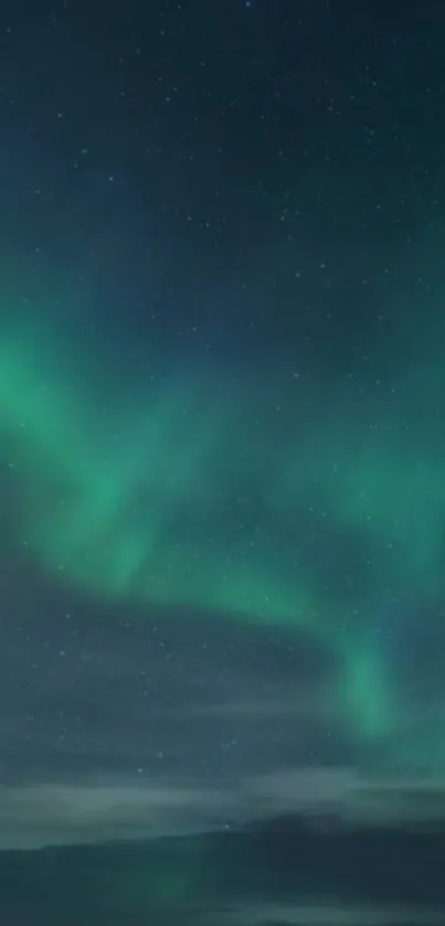 Bright green aurora lights in a starry night sky.