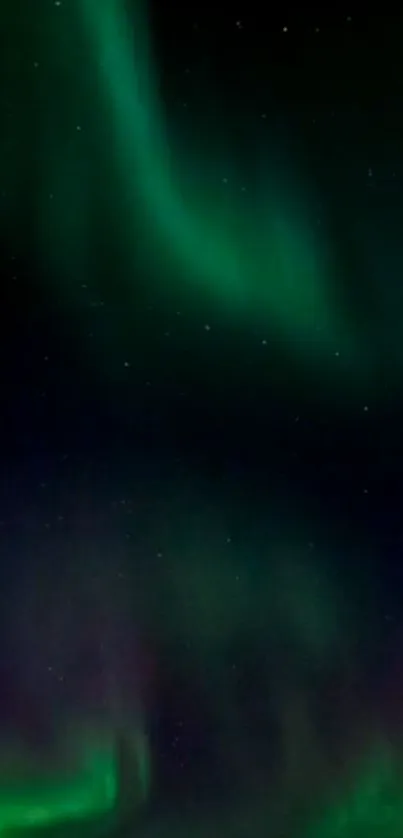 Green aurora borealis lights in a starry night sky.