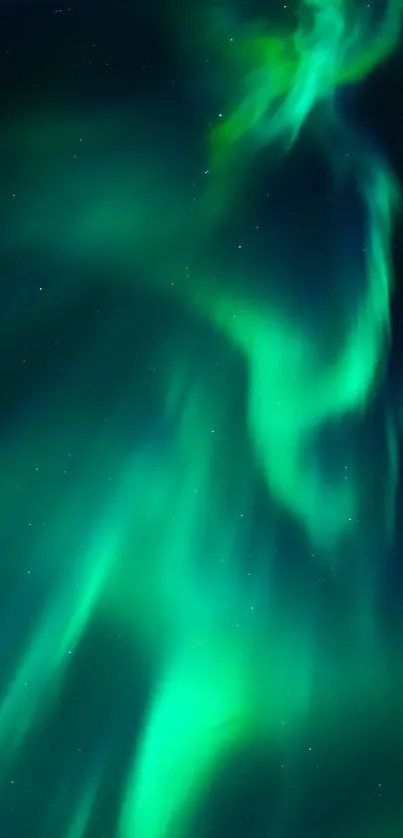 Aurora Borealis with vibrant green hues lighting up the night sky.