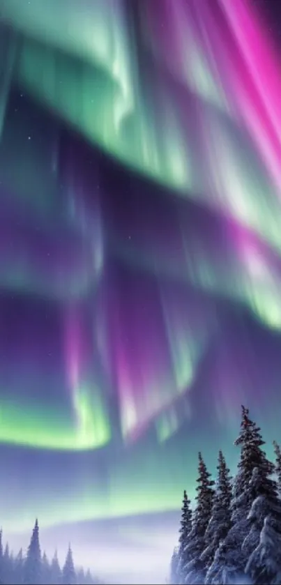 Vibrant northern lights display over snowy forest.