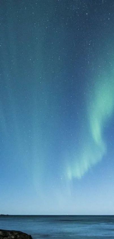 Northern lights over ocean with starry sky.