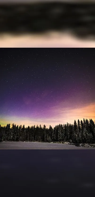 Aurora borealis illuminates starry night over snowy forest.