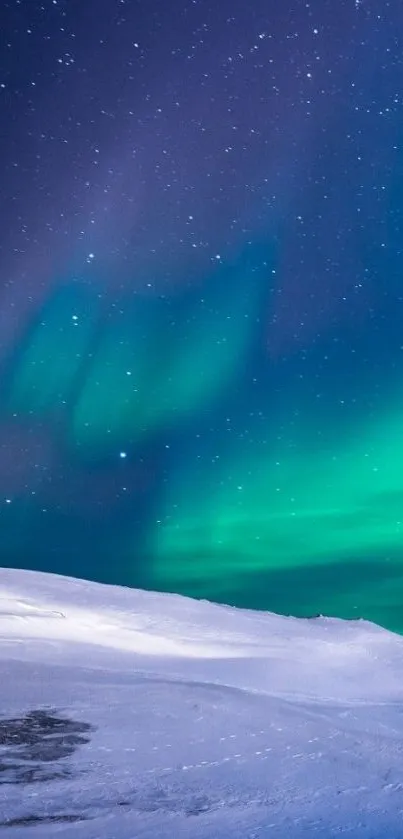 Aurora borealis over snowy landscape and starry sky.