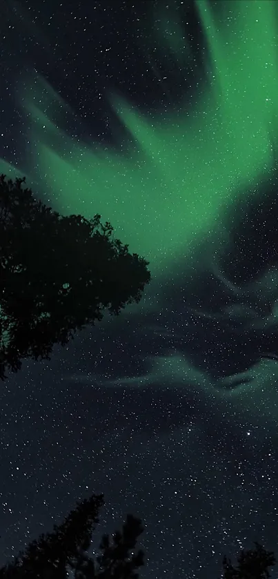 Aurora borealis with green lights in a starry night sky over silhouetted trees.