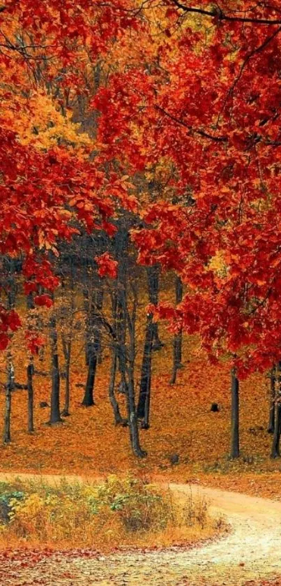 Beautiful autumn forest with red and orange leaves covering a winding path.