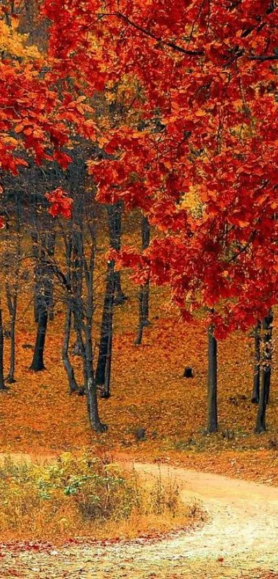 Autumn forest with vibrant red foliage and a winding path.